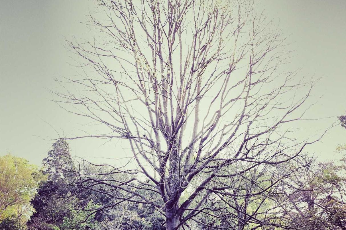 Maxime qui voluptas veniam voluptatum