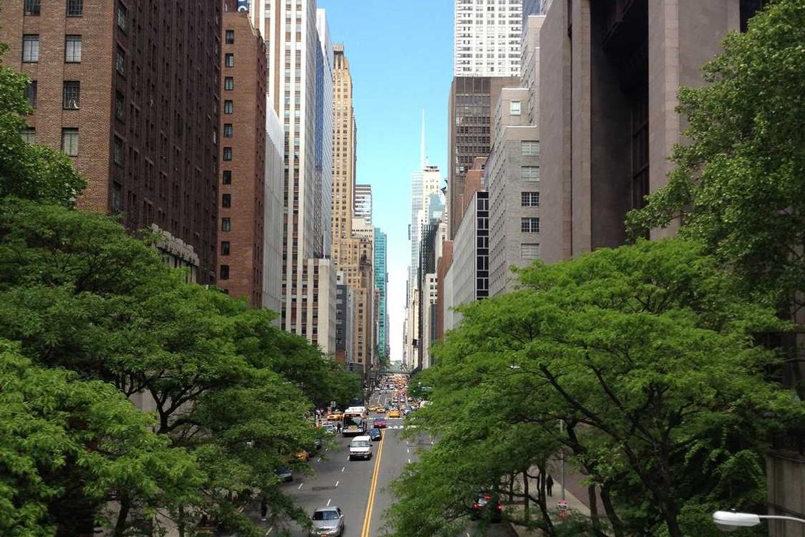 Incidunt ea consequatur