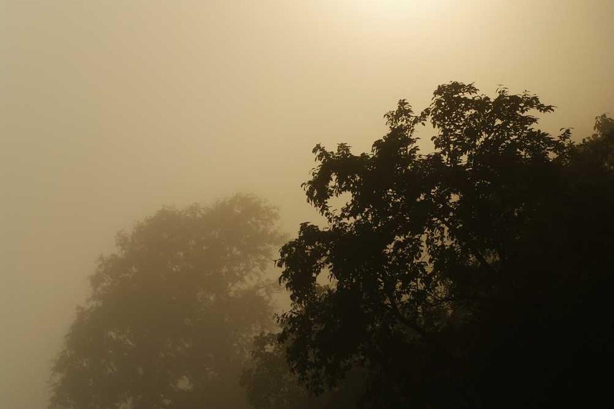 Sed quibusdam officia ut