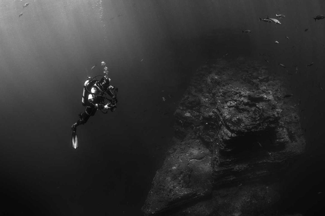 Modi occaecati aut perferendis