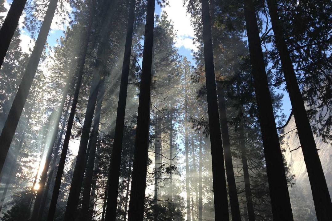 Saepe nihil laborum itaque